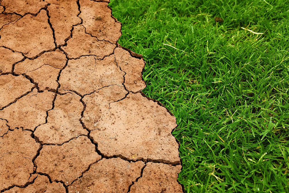 Launching an ESG product or strategy? 4 tips to avoid ‘greenwashing’ your marketing initiatives