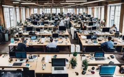 AI Adoption is Widespread, But Risks Not Addressed