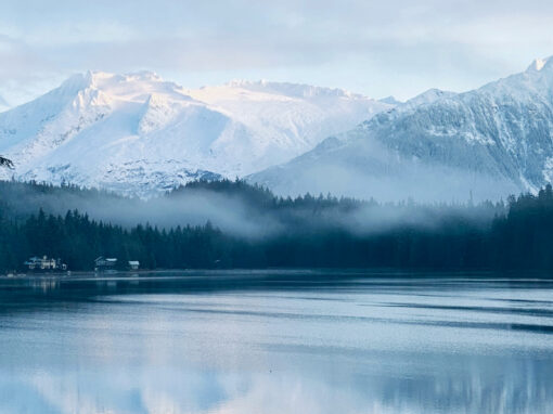 Alaska Permanent Fund Corporation