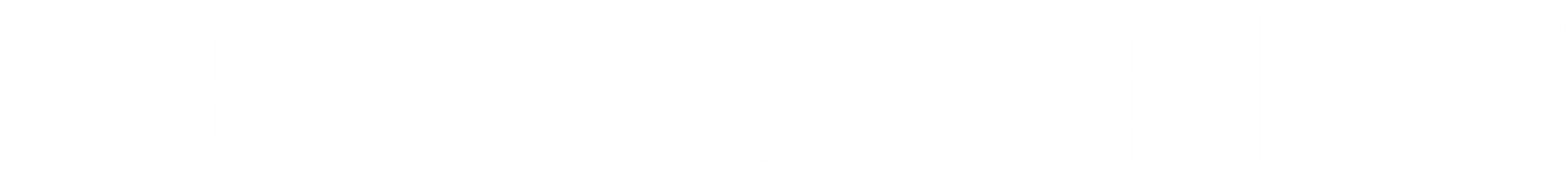 Descartes Systems Group Logo