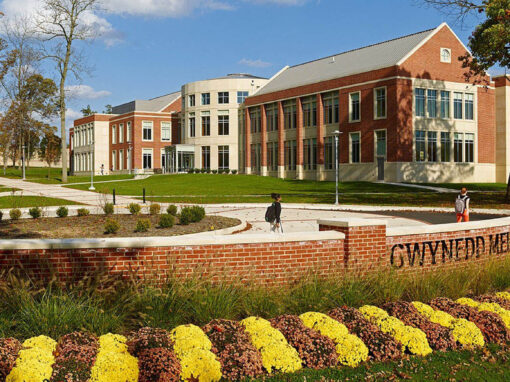 Gwynedd Mercy University