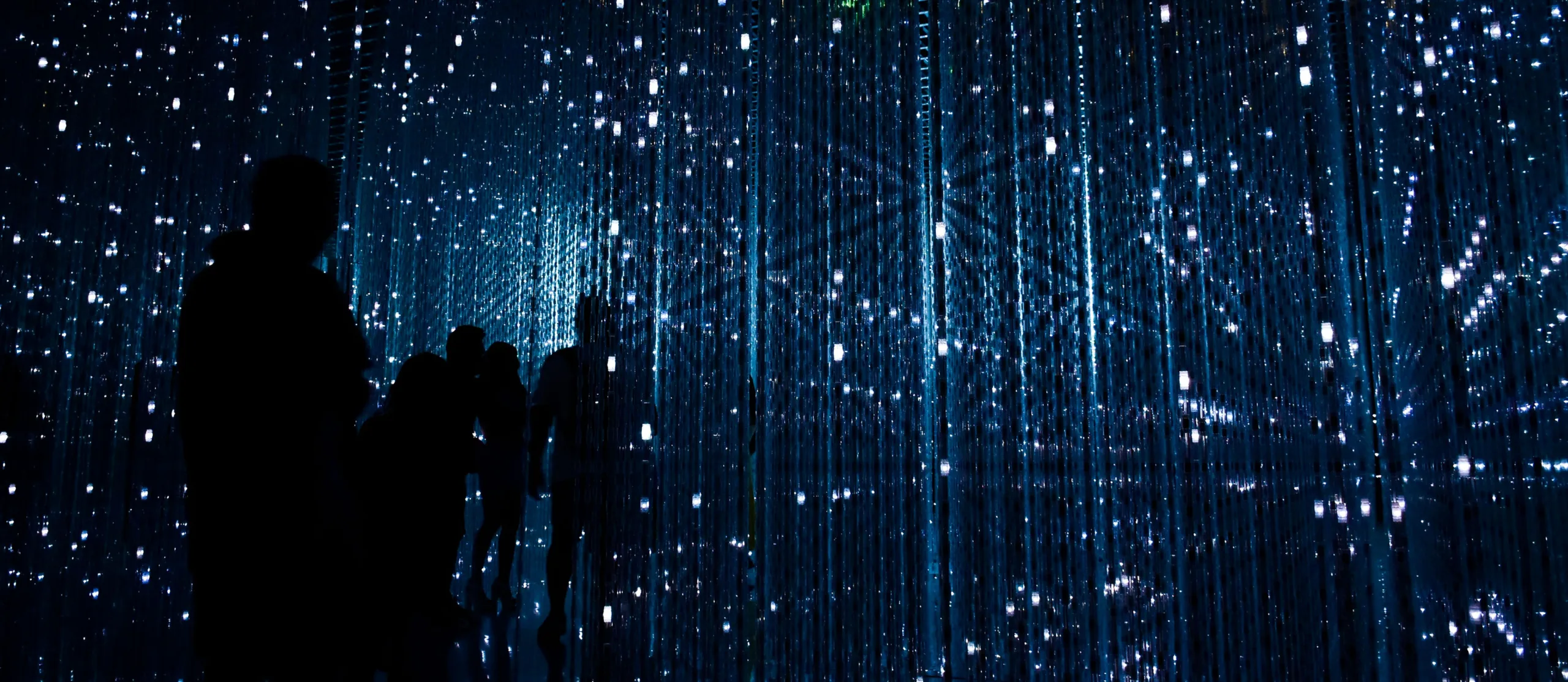 NuHarbor Security Image of binary code on a screen that NuHarbor Security helps protect